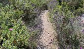 Trail Walking Fréjus - Depuis la Louve en boucle - Photo 18