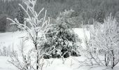 Percorso Racchette da neve Basse-sur-le-Rupt - 20210102_raq_Planois_Chalet-des-Charmes - Photo 2