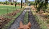 Tocht Paardrijden Léglise - Campagne Traimont - Photo 1