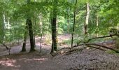 Randonnée Marche Liège - pentecôte à travers le domaine universitaire  - Photo 4