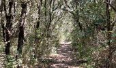 Tocht Stappen Le Triadou - tour triadou, st Jean de cuculles - Photo 2