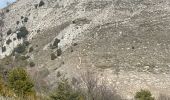 Trail Walking Courmes - Courmes  - Photo 20