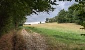Trail Walking Charentilly - Charentilly - variante Chemin des Grandes Tailles - 11.2km 110m 3h00 - 2025 08 27 - Photo 8