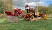 Tocht Te voet Morbach - Saar-Hunsrück-Steig Traumschleifen LandZeitTour - Photo 8