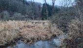 Tour Wandern Geilich - Gouvy . Limerlé . Cherapont . Gouvy - Photo 9