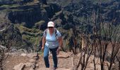 Trail Walking Ilha - PR1 Pico Ruivo - Photo 5