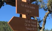 Tour Wandern Saint-Raphaël - Les grues et le pic de l'ours depuis la gare du Trayas - Photo 10