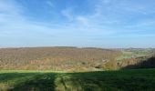 Tour Wandern Yvoir - Entre Meuse et Bocq, départ de Mont - Photo 4