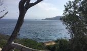 Trail Walking Hyères - Porquerolle côté Est (Pointe des Mèdes) - Photo 8