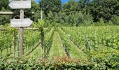Tour Wandern La Hulpe - A la découverte de La Hulpe(totemus) - Photo 8