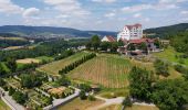 Randonnée A pied Möriken-Wildegg - Schloss Brunegg - Chestenberg - Schloss Wildegg - Photo 3