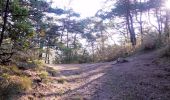 Trail Walking Ponet-et-Saint-Auban - Ponet-et-St-Auban - Montagne de Desse - Marignac - Photo 2