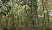 Randonnée Marche Mittelbergheim - Boucle des châteaux d'Andlau et du Sepsbourg - Photo 15