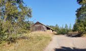 Tour Wandern Chorges - Bois du Ruban (Clot Clavary - crête du Ruban) - Photo 13