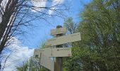 Tocht Stappen Foncine-le-Bas - Autour de la cascade du Bief de la Ruine 🥾 - Photo 13