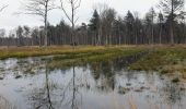Trail Walking Maldegem - Drongengoedbos - Photo 4