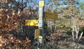 Trail Walking Venasque - Corneirette/mur de la peste - Photo 1