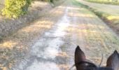 Trail Horseback riding Fronton - Trec 2 finalisé - Photo 12