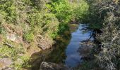 Randonnée Marche Soudorgues - La Vallée Borgne - Photo 2