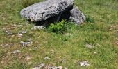 Tour Wandern Chanac - Rando..Chanac..Causses de Sauveterre..16/05/2024 - Photo 6