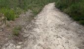 Trail Walking Lacanau - Longaris - ocean AR - Photo 14