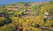 Tocht Stappen Conques-sur-Orbiel - Les Hauts du Rieu Sec - Photo 1