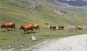 Percorso Marcia Tignes - La sauvière  - Photo 3