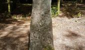 Tour Wandern Châlonvillars - Châlonvillars - le menhir - Genêchier - Mandrevillars - Buc - fort d'Essert  - Photo 5