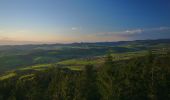 Percorso A piedi Valašské Klobouky - Naučná stezka Královec - Photo 3