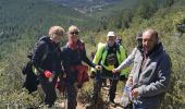 Trail Walking Ollioules - Le gros cerveau - Photo 1