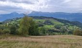 Randonnée Marche Theys - PROMENADE AUTOUR DU COL DES AYES - Photo 18