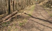 Trail Walking Kelmis - Kelmis/La Calamine 10 Km - Photo 3