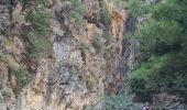 Percorso Marcia Unknown - 20230903 gorges samaria crete - Photo 1