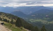 Randonnée Trail Sarcenas - col de porte chamechaude - Photo 6