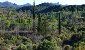 Trail Walking Fréjus - Le tour du Bonnet de Capelan depuis Colle Douce - Photo 1