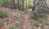 Trail Walking Saint-Saturnin-lès-Apt - Tour des Aiguiers-St Saturnin des Apt09-05-23 - Photo 4