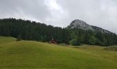 Tour Wandern Le Grand-Bornand - Arabie 1 - Photo 7