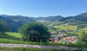 Excursión Senderismo Ottenhöfen im Schwarzwald - Karlsruher Gray - Photo 3