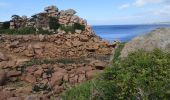 Trail Walking Perros-Guirec - ploumanach - Photo 2