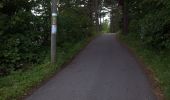 Tocht Te voet Onbekend - Enbart promenader 4,5 km - Photo 3