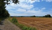 Excursión Senderismo Beauraing - Revogne - Photo 1