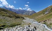 Trail Walking Bessans - La Mottuaz et la Buffaz depuis Vincendières - Photo 6