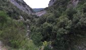 Randonnée A pied Sales de Llierca - L'Alta Garrotxa de Vayreda - Photo 2