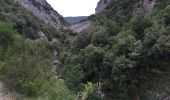 Excursión A pie Sales de Llierca - L'Alta Garrotxa de Vayreda - Photo 2