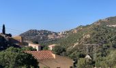 Randonnée A pied Pigna - Monte St Angelo - Photo 4