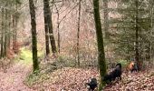 Trail Walking Meix-devant-Virton - Meix-devant-Virton - Photo 16