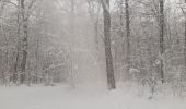 Tour Wandern Spa - spa . Marteau. golf . warfaaz . spa - Photo 14