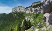 Trail Walking Romeyer - PAS DE PISON COL DES BACHASSON - Photo 9