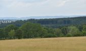 Tour Wandern Eupen - 20220627 - Barrage Eupen 7.6 Km - Photo 11