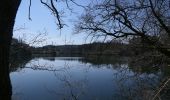 Tour Zu Fuß Weismes - Tour du lac de Robertville et détour jusqu'au château de RheinhardStein - Photo 1